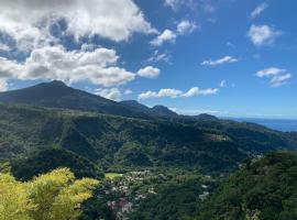Le Petit Paradis, hotel v destinaci Roseau