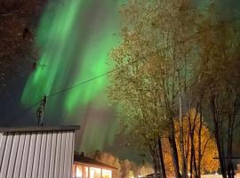 Hotel Photo: Sentral og romslig leilighet nært Senja