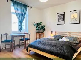 Saale, Marktplatz Zentrum, Apartmenthaus am Dom von Plant Room, מלון בהאלה אן דר זאלה