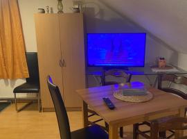 Hotel Photo: Heerbrugg studio flat