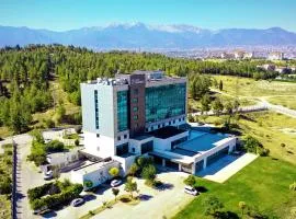 Park Dedeman Denizli, hotel in Denizli