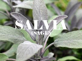 Zdjęcie hotelu: Salvia 3333 Luz del Valle de Guadalupe