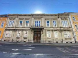 Hotel fotoğraf: Geräumige Altbauwohnung im Zentrum