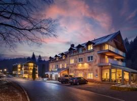 Hotel Ladenmühle, hotel en Kurort Altenberg