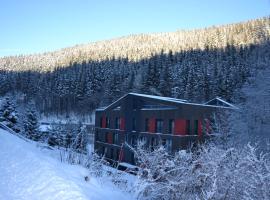 Residence Vlčice, hôtel à Pec pod Sněžkou