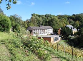 A picture of the hotel: JUFA Hotel Königswinter/Bonn