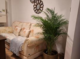 A picture of the hotel: Apartament Florina