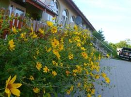 Gambaran Hotel: Turul Vendégház