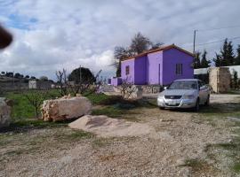 Foto di Hotel: Jerash mountain studio chalet شاليه جبال جرش و عجلون