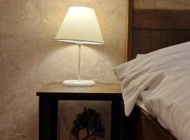 Hotel Photo: Sincai City Center Apartment