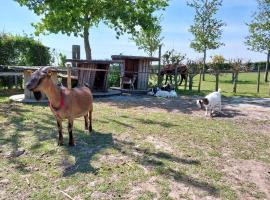 酒店照片: Le Kot'je - Les gites de La Petite Ferme Flamande