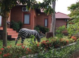 Hotel Photo: Birdofparadisehomestay