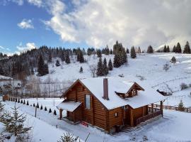 Gambaran Hotel: DADA Chalet - Vatra Dornei, Bucovina