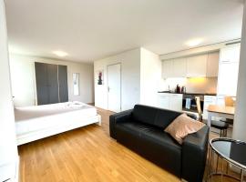 Photo de l’hôtel: 1.0 room apartment in Zurich (SH-2.5L)