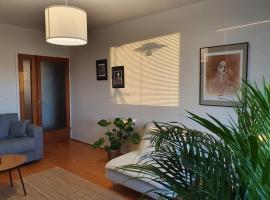 Hotel Photo: Cozy completely renovated flat (sis. Alv)