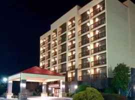 Vista Suites Near Island and Leconte Convention Center