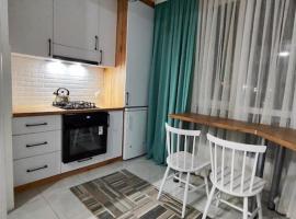 होटल की एक तस्वीर: Apartament in Ialoveni la 5 km de Chisinau