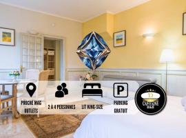 Hotel Foto: Le SAPHIR - Confort - Proche Mag Outlet Troyes - Parking gratuit