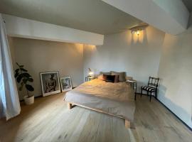 Hotel fotografie: Mulhouse City Loft