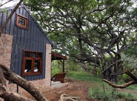 A picture of the hotel: Bethesda Mountain Lodge