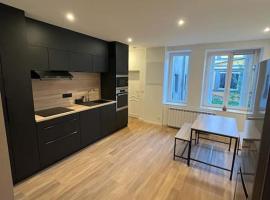 호텔 사진: Appartement Saint-Etienne hyper centre