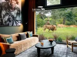 Safari Suite Lions Zoo de la Flèche