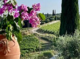 Zdjęcie hotelu: La Terrazza sul Chianti