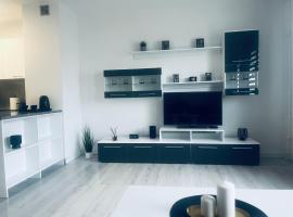 รูปภาพของโรงแรม: Silver Apartament Katowice