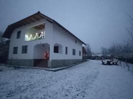 Hotel Photo: CASA LAVINIA CRASNA GORJ