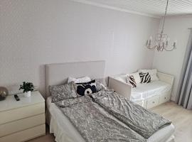 Hotel fotoğraf: Spacious apartment in the city center