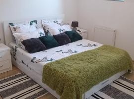 A picture of the hotel: Moonlight Apartments Sibiu