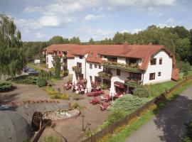 Hotel und Restaurant Sackwitzer Mühle, hotel in Bad Schmiedeberg