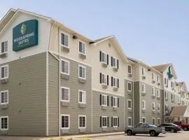 WoodSpring Suites Johnson City, отель в городе Джонсон-Сити