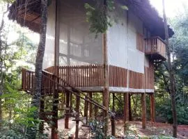 EcoAraguaia Jungle Lodge