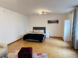 Hotel Photo: Apt near Basel Centre and Airport