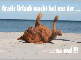 Bungalow WALD & SAND direkt am Strand, hotell sihtkohas Dranske