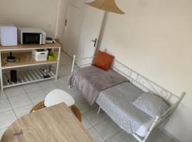 A picture of the hotel: Studio bord de Loire