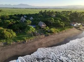 NAIA - Miravalle