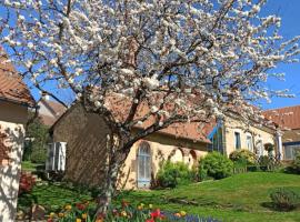 酒店照片: Grande maison avec garage et jardin clôturé - 6pers