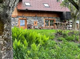 Gambaran Hotel: Traditional Slovenian house