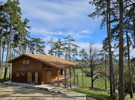 Hotel Foto: Le cottage des pins chalet sur les vignes
