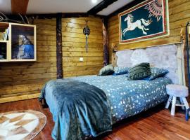 Hotel Foto: Suite privative Le seigneur des Anneaux Arnor