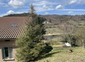 Hotel foto: Grand Gîte 12 personnes Maison Fougères gauche Auvergne