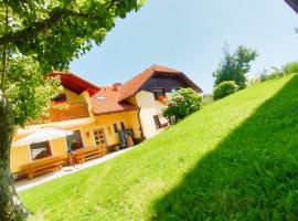 Hotel fotoğraf: Apartments Organic Tourist Farm Gradišnik