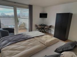 Hotel Photo: Penthouse Apartment in Kehl