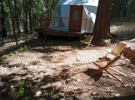 A picture of the hotel: Glamping Don Delfis