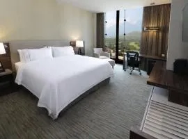 Holiday Inn Express & Suites Monterrey Valle by IHG