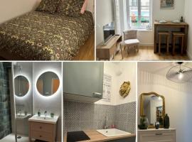 Фотография гостиницы: Appartement hypercentre de DIJON