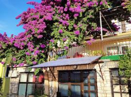 Hình ảnh khách sạn: Vila Flores Mali Lošinj