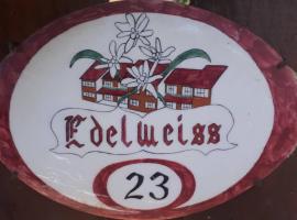 Hotel Photo: RESIDENCE EDELWEISS
